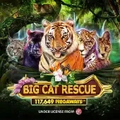 Big Cat Rescue Megaways game icon